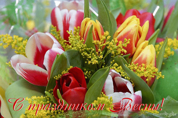 Анимационная открытка 8 марта тюльпаны