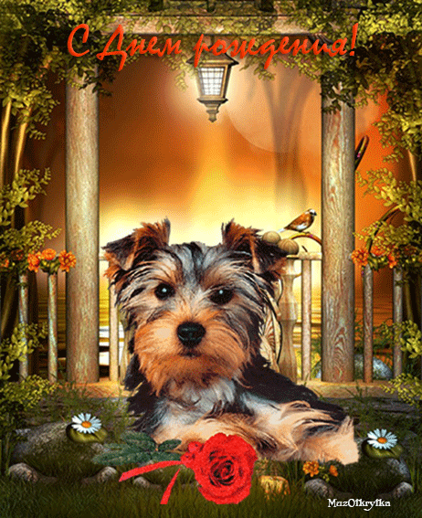 Музыкальная открытка с днем рождения, анимационная открытка забавный щенок с красной розой