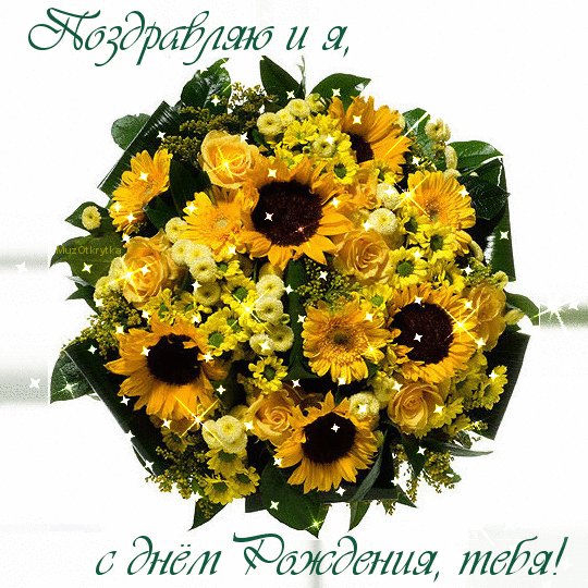 Музыкальная открытка, с днём рождения, цветы, герберы, хризантемы, шикарный букет