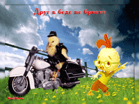 музыкальная открытка для детей, цыпленок рокер мотоцикл петушок, анимационная открытка детям