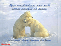 музыкальная открытка для друга, белые медведи, анимация, музыкальная открытка с кодом от сайта MuzOtkrytka
