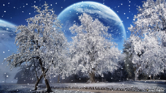 музыкальная новогодняя анимационная открытка с кодом, красивые сказочные снежные деревья снегопад. Кадышева Надежда.