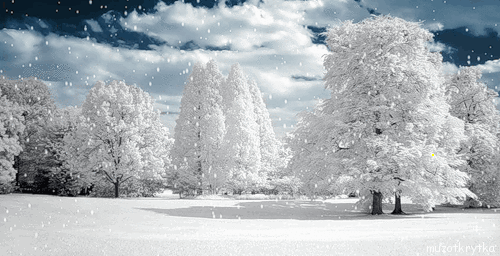 музыкальная новогодняя рождественская анимационная открытка, волшебный снегопад. Кадышева Надежда.