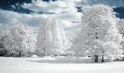виртуальная музыкальная анимационная открытка с новым годом, волшебный снегопад