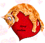 открытка день святого Валентина, прикольный кот на сердце