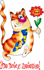Анимация рыжий кот в галстуке цветы