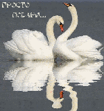 музыкальная открытка для любимой, просто подари, анимация два белых лебедя