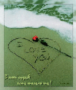 музыкальные открытки тебе, анимационная открытка красная роза на берегу моря,эта открытка для тебя,  открытки с кодом