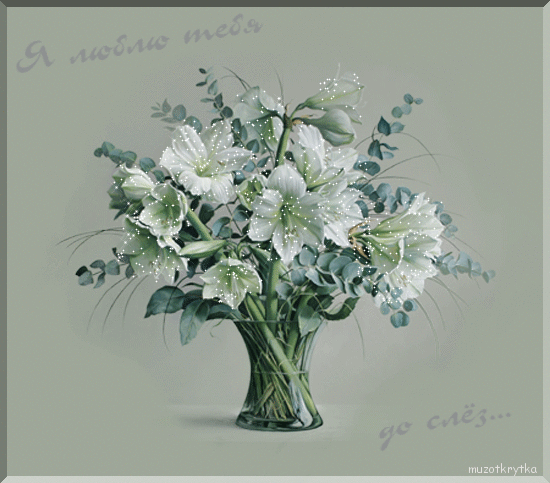 Музыкальная открытка для любимой, александр Серов, я люблю тебя до слез, анимация, цветы, белые лилии