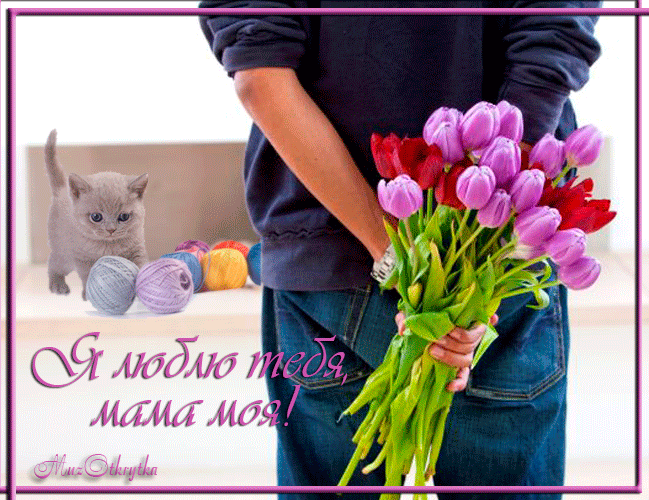 музоткрытка, милая мама моя, открытки маме музыкальные, с кодом, бесплатно, тюльпаны, котенок с клубком