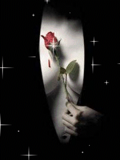 Заставки и обои для мобильного телефона - Любовь, грудь роза