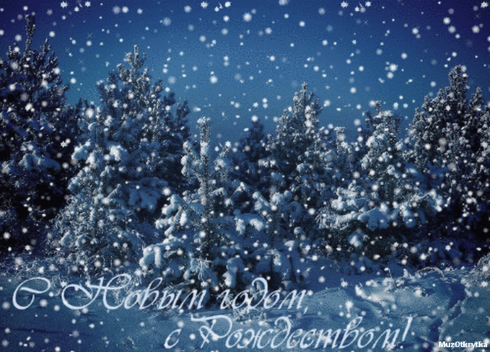 музыкальная анимационная новогодняя открытка с кодом, сказочный лес ночь снегопад. Тропин.